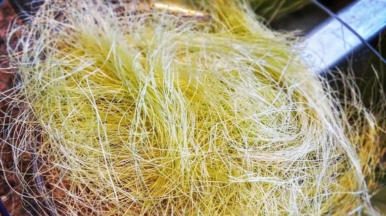 Corn silk drying