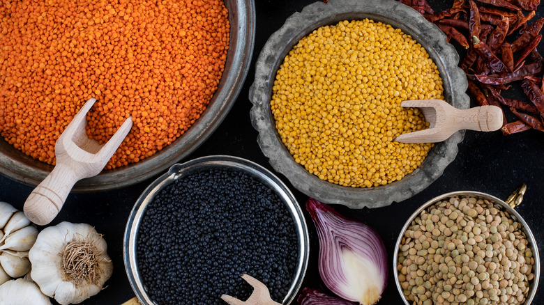 different types of lentils in containers