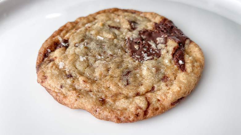 chocolate chip cookie on plate