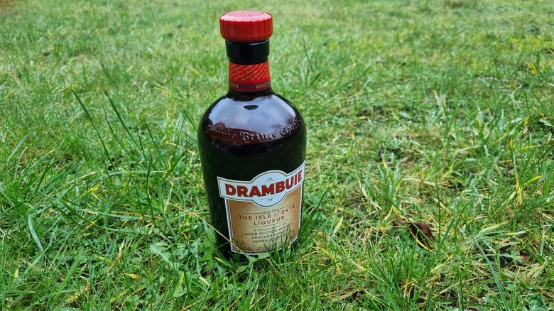 Bottle of Drambuie on grass