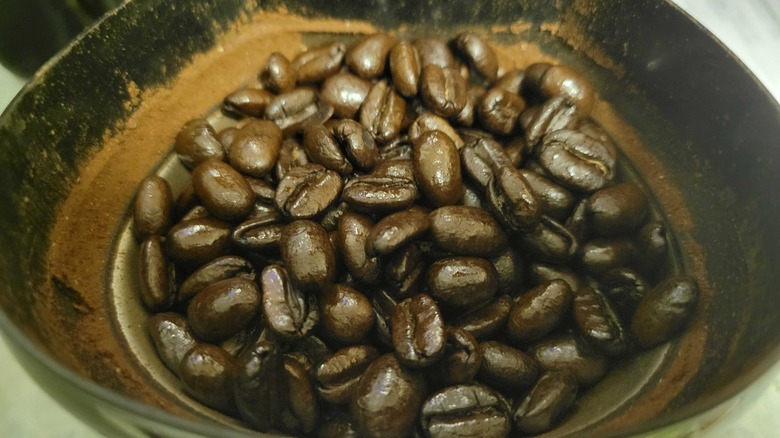 Coffee beans in a grinder