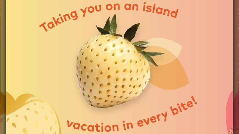 ad for Tropical Bliss strawberries