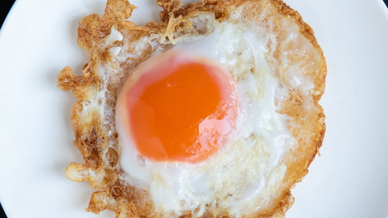 Crispy fried duck egg on a plate