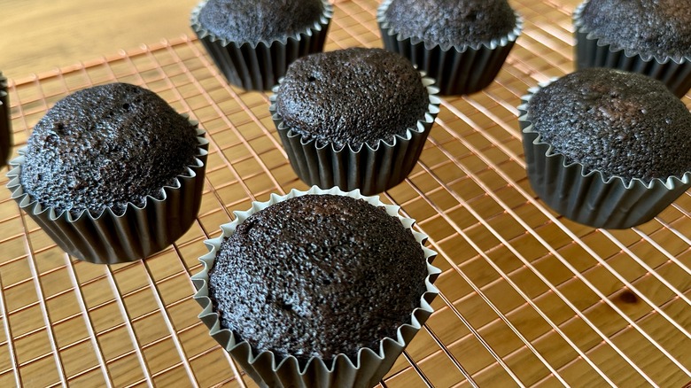 Chocolate cupcakes on rack