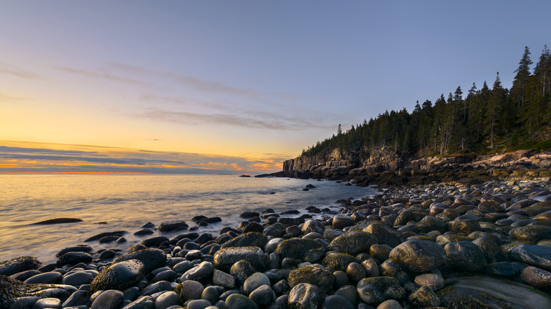 rocky beach in Maine