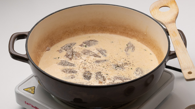 morel mushroom cream sauce