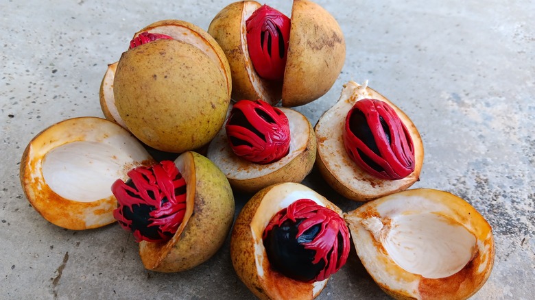 East Indian nutmeg fruits