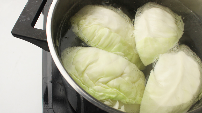 cabbage boiling in pot