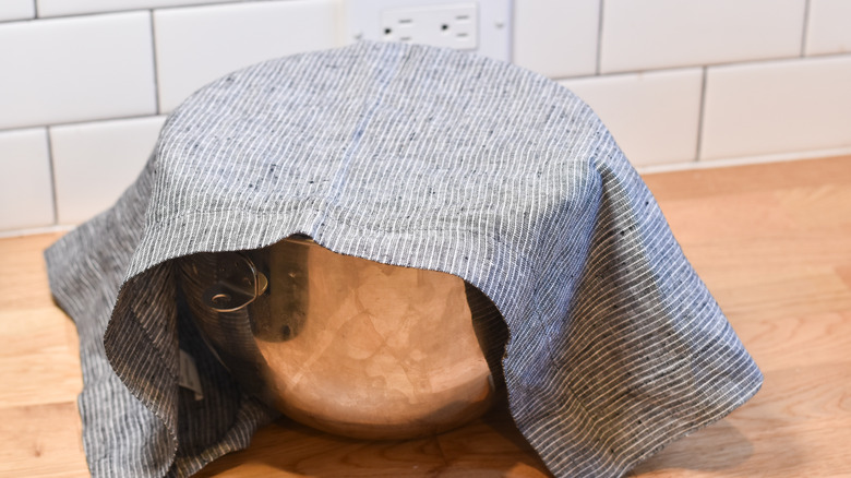 dough rising on counter covered with towel