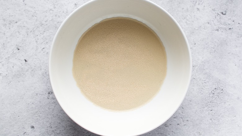 yeast and water in bowl