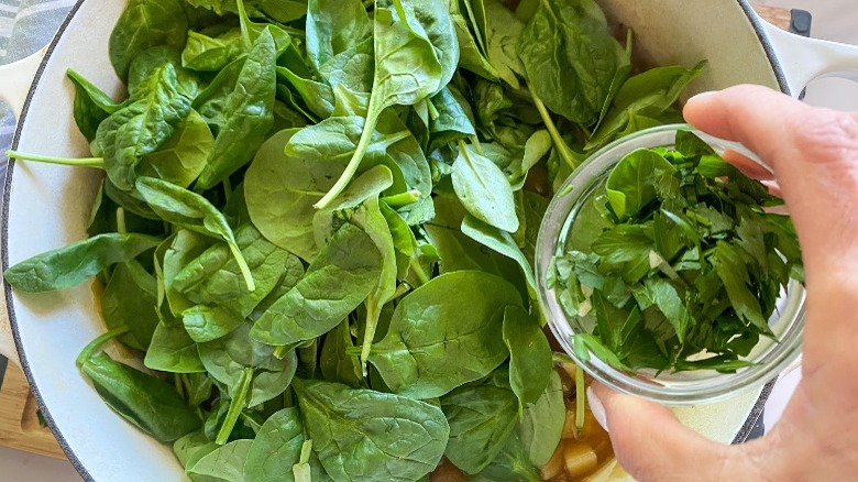 spinach in pot and parsley in mini bowl