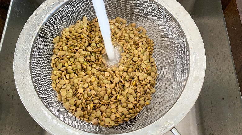 lentils in strainer with water