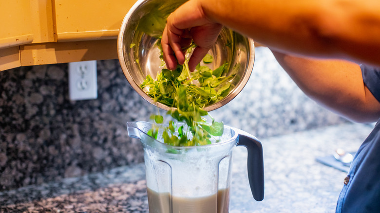 adding watercress to the blender