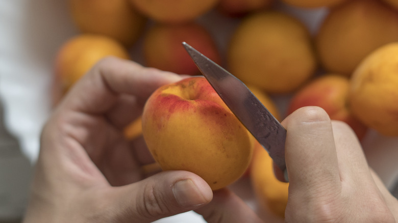 person cutting fresh peaches