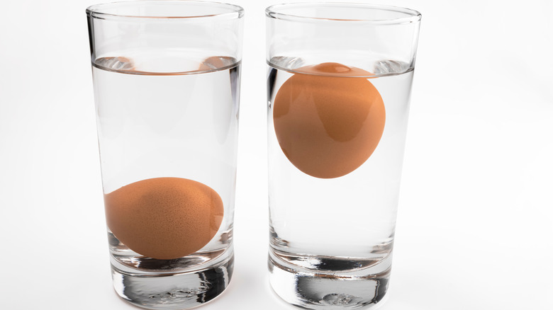 the float test for egg expiration