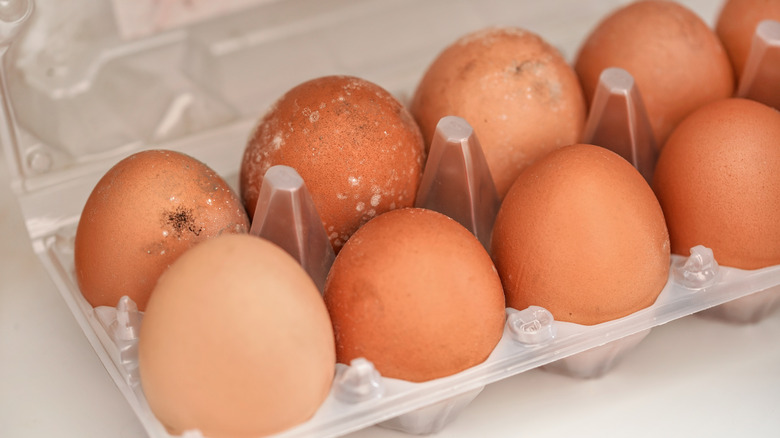 a carton of questionable eggs