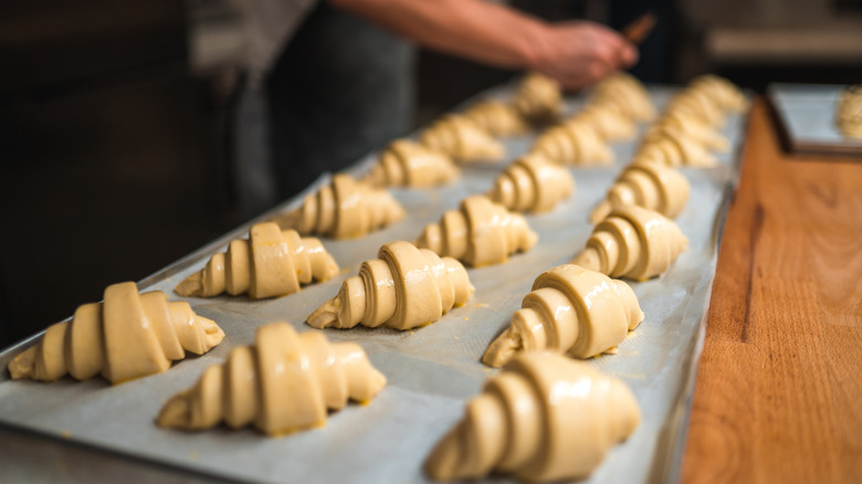 croissants proofing before baking