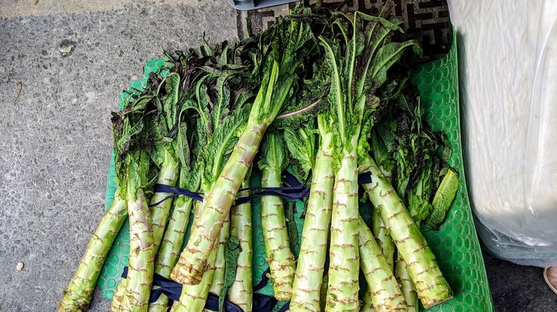 A pile of celtuce