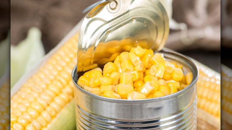 Opened can of corn with corn on cobs 