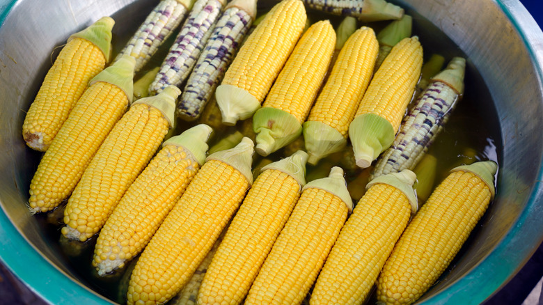 corn soaking in water