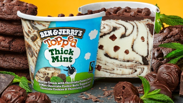 Pint of Thick Mint Ice Cream With Cookies 