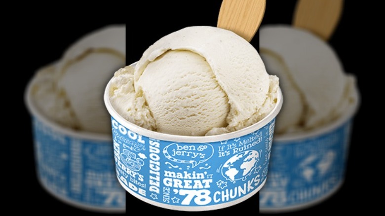 Ben & Jerry's Vanilla Ice Cream