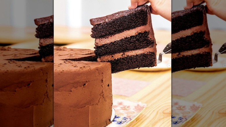 Chocolate cake on plate