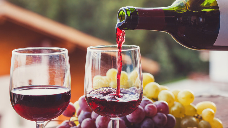 Every Major Type Of Red Wine You Would Ever Need To Know