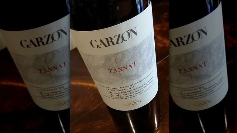 Bodega Garzon Tannat bottle label