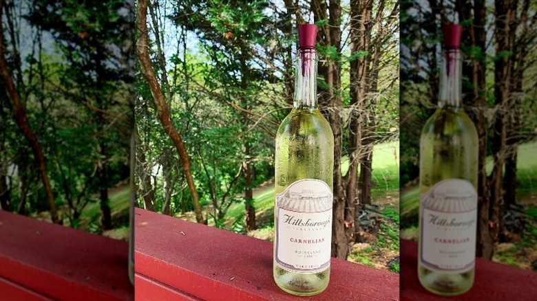 Roussanne bottle in woods