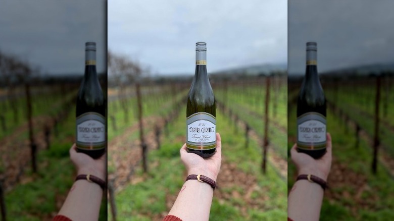 Sauvignon blanc bottle in field