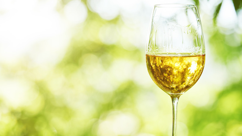 Glass of viognier close up