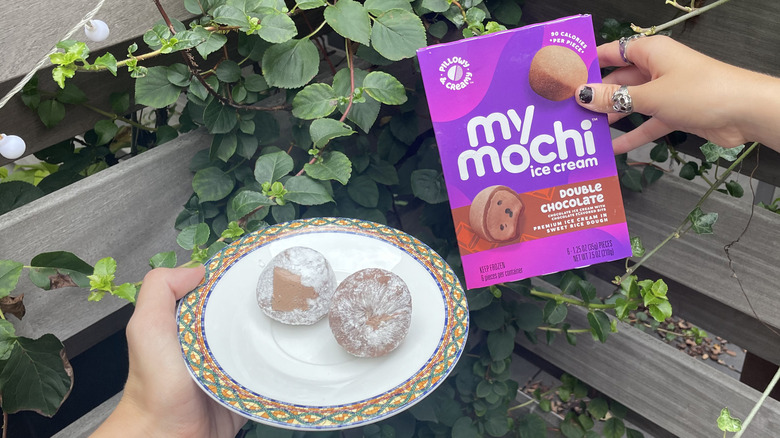 double chocolate mymochi mochi