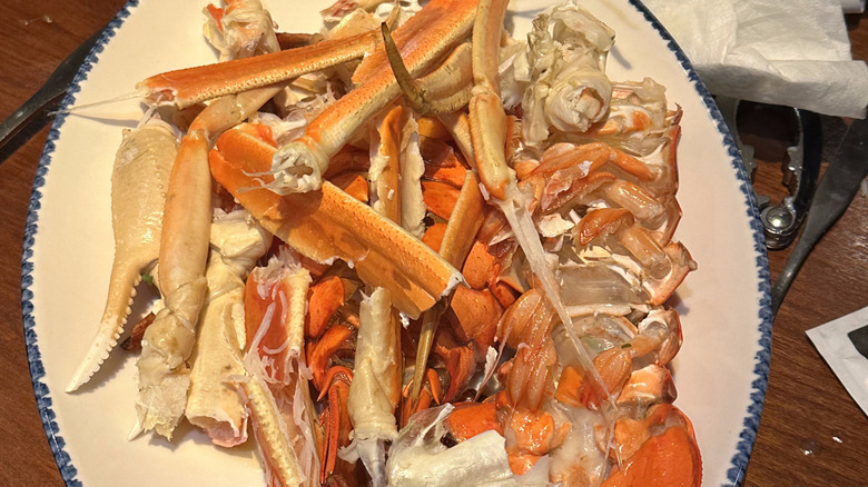 Discarded shellfish shells