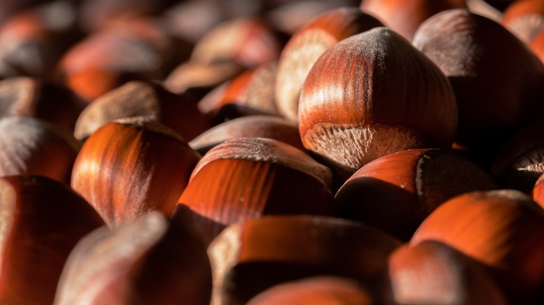 Many hazelnuts together