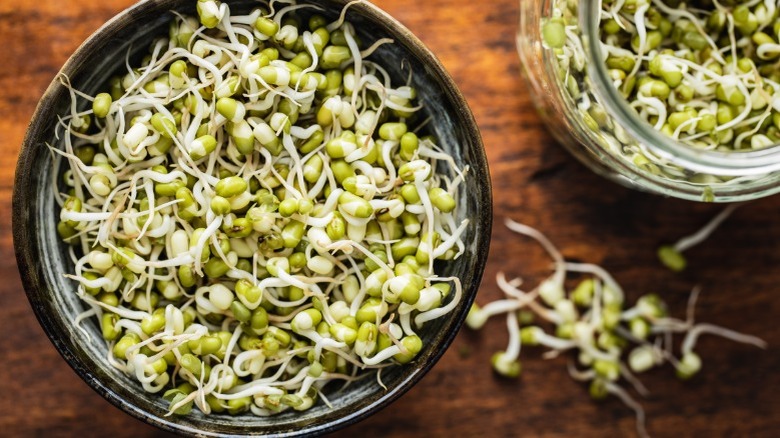 sprouted mung green beans in bowl