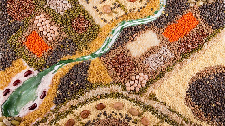 stylized map of grains, legumes, and seeds