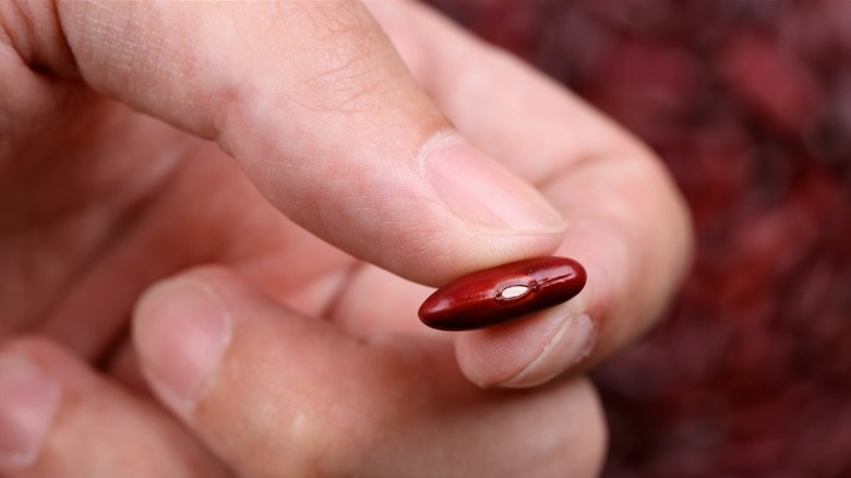 fingers holding kidney bean