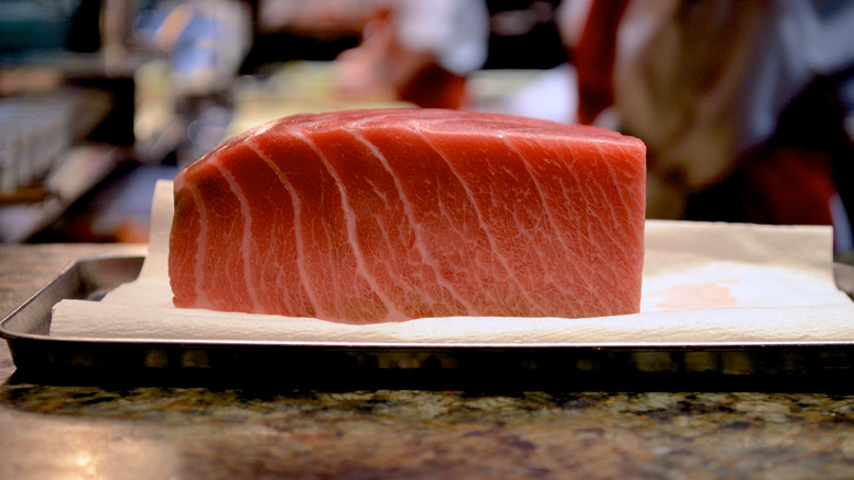 piece of toro tuna