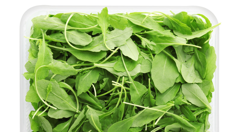 Green arugula in a plastic clamshell