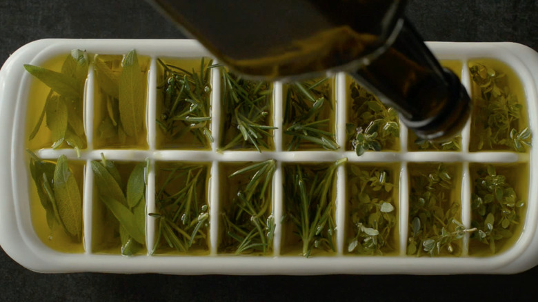 An ice tray filled with golden olive oil and green herbs