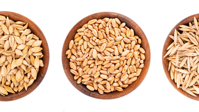 Three different shapes of barley seed piled in brown bowls