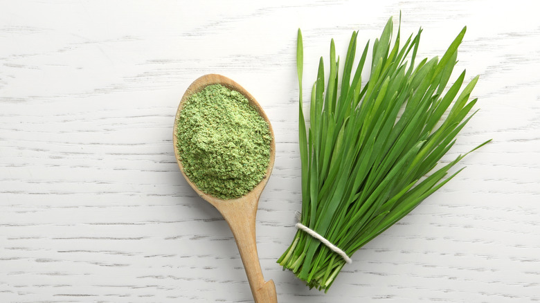 A wooden spoon filled with green powder next to grass