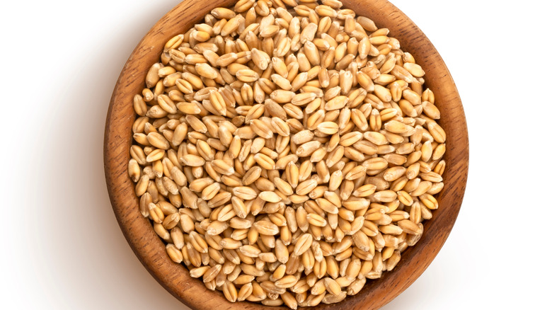Barley grains in a brown bowl on a white table