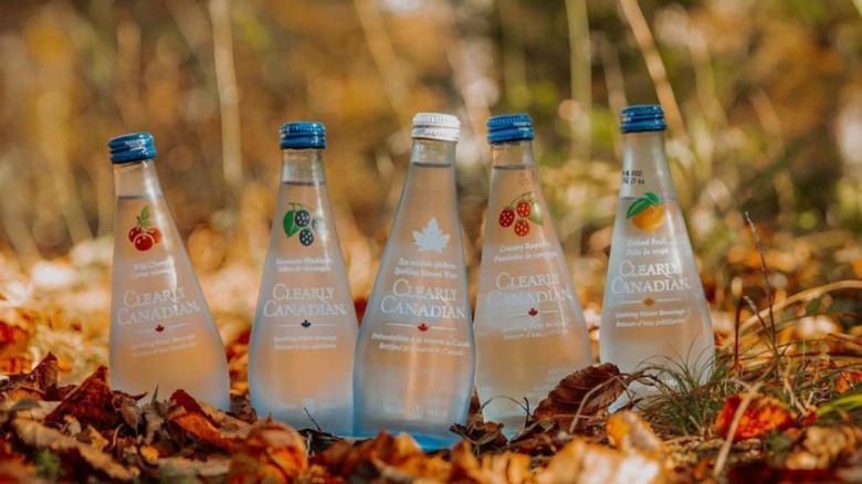 Five bottles with fall leaves