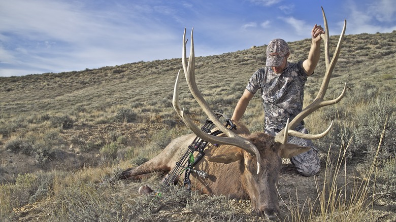 Hunter with slain elk