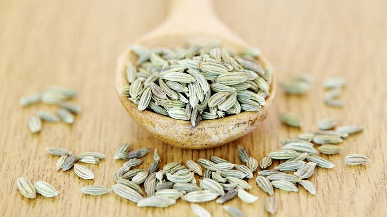 Fennel seeds in a spoon