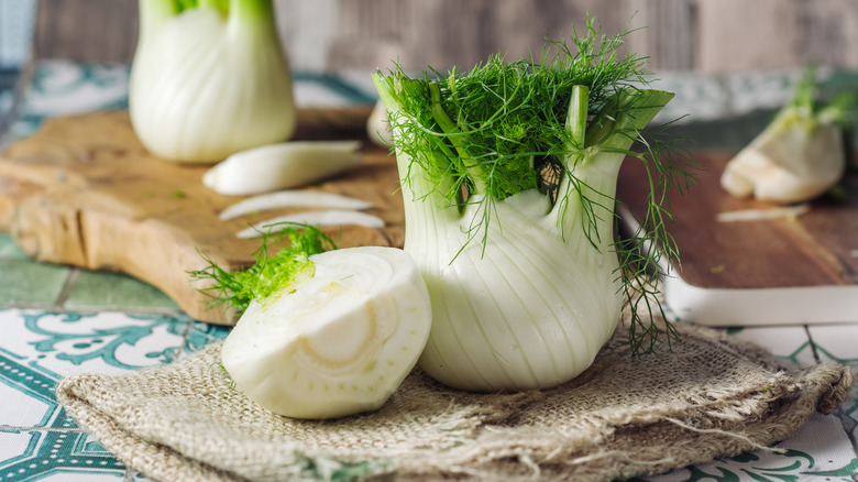 Fennel vegetable cut