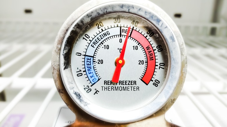 Freezer thermometer device