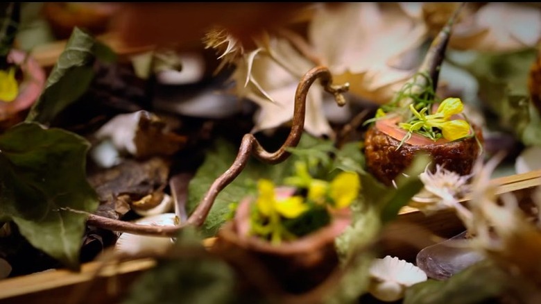 A tangle of herbs and bites on a plate from Geranium